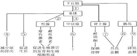 作业帮