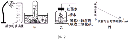 作业帮