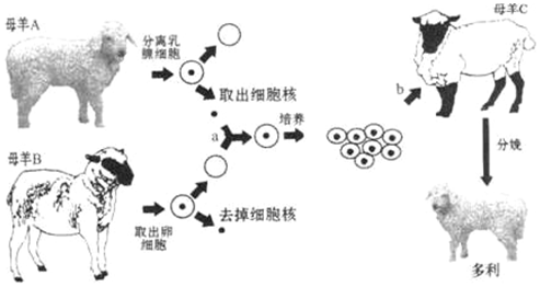 作业帮