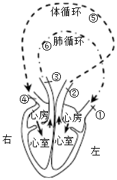 作业帮