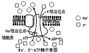 作业帮