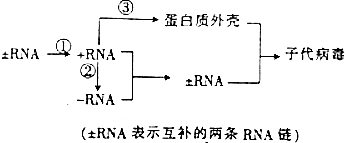 作业帮