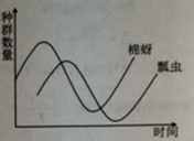 作业帮