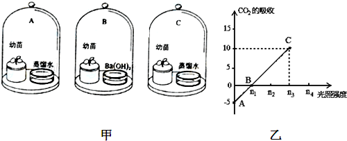 作业帮