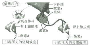 作业帮