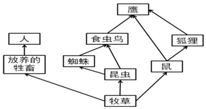 作业帮