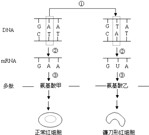 作业帮