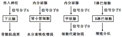 作业帮