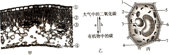 作业帮