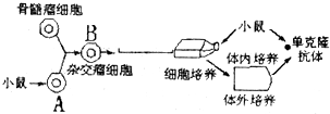 作业帮