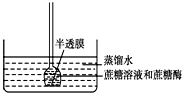 作业帮