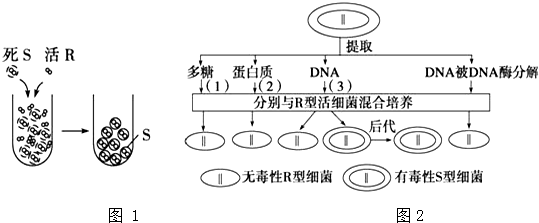 作业帮