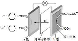 作业帮