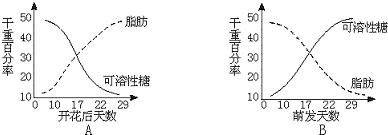 作业帮