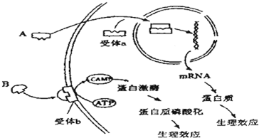 作业帮