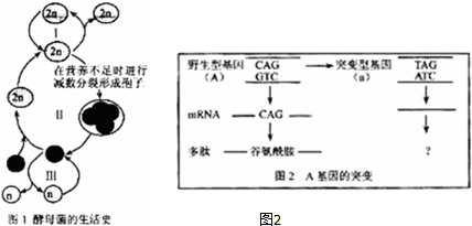 作业帮