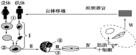 作业帮