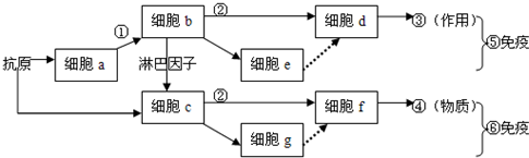 作业帮