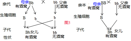 作业帮