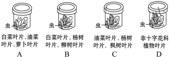 作业帮