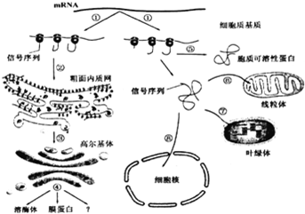 作业帮