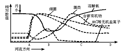 河流生态系统受到生活污水含大量有机物轻度污染后的净化过程示意图请