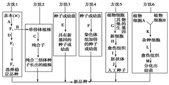 作业帮