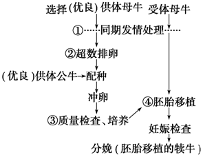 作业帮