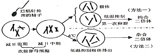 作业帮