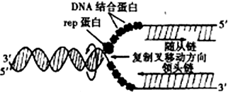 作业帮