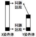 作业帮