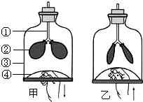 作业帮