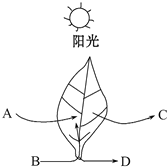 作业帮