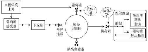 作业帮