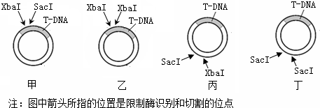 作业帮