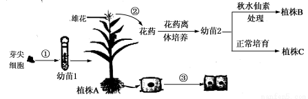 满分5 manfen5.com