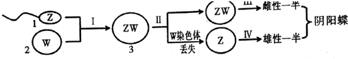 作业帮