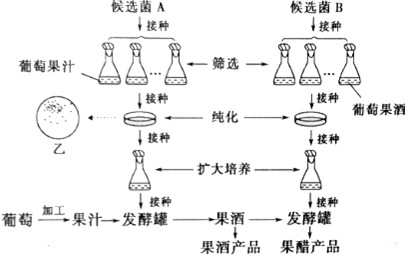 作业帮