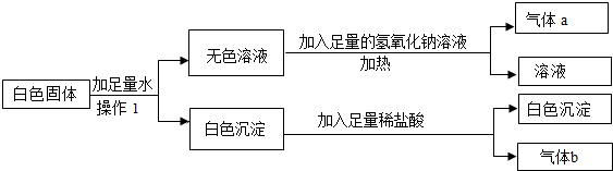 作业帮