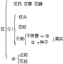 作业帮