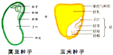 作业帮