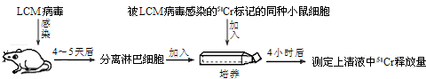 作业帮