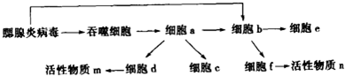 作业帮