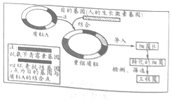 作业帮