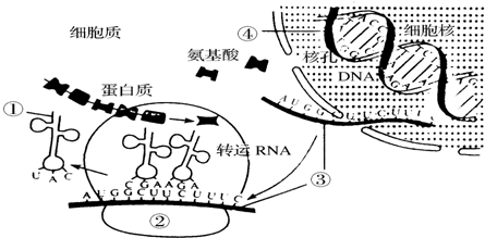 作业帮