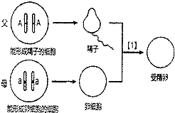 作业帮