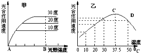 作业帮