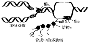 作业帮