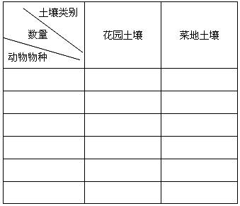 ×地区不同深度花园土壤中小动物类群的丰富度调查(或不同