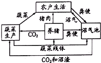 作业帮